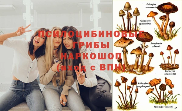 меф VHQ Майский