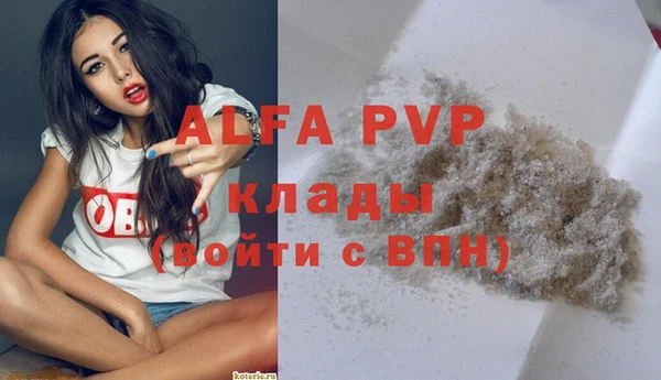 Альфа ПВП Магас