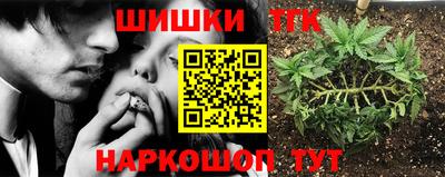 стаф Канаш