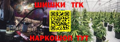 индика Кандалакша