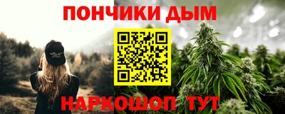 индика Кандалакша