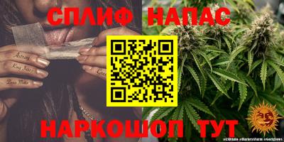 сатива Апрелевка