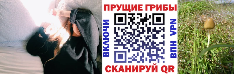 Галлюциногенные грибы GOLDEN TEACHER  наркотики  кракен ссылки  Фурманов 