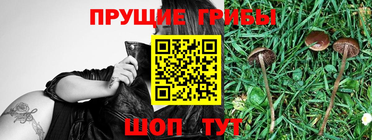 цена наркотик  Фурманов  Галлюциногенные грибы Cubensis  Галлюциногенные грибы мухоморы 